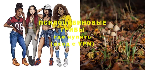 хмурый Алексеевка