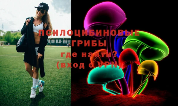 хмурый Алексеевка